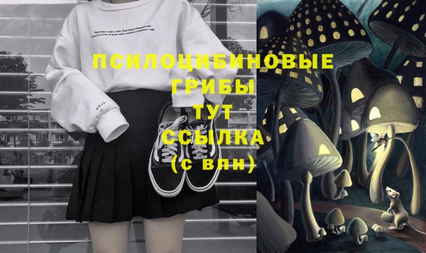 apvp Волосово