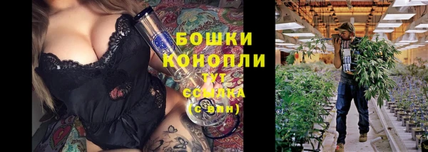 mdpv Волоколамск