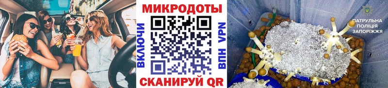 Купить где  Урай  Галлюциногенные грибы MAGIC MUSHROOMS 